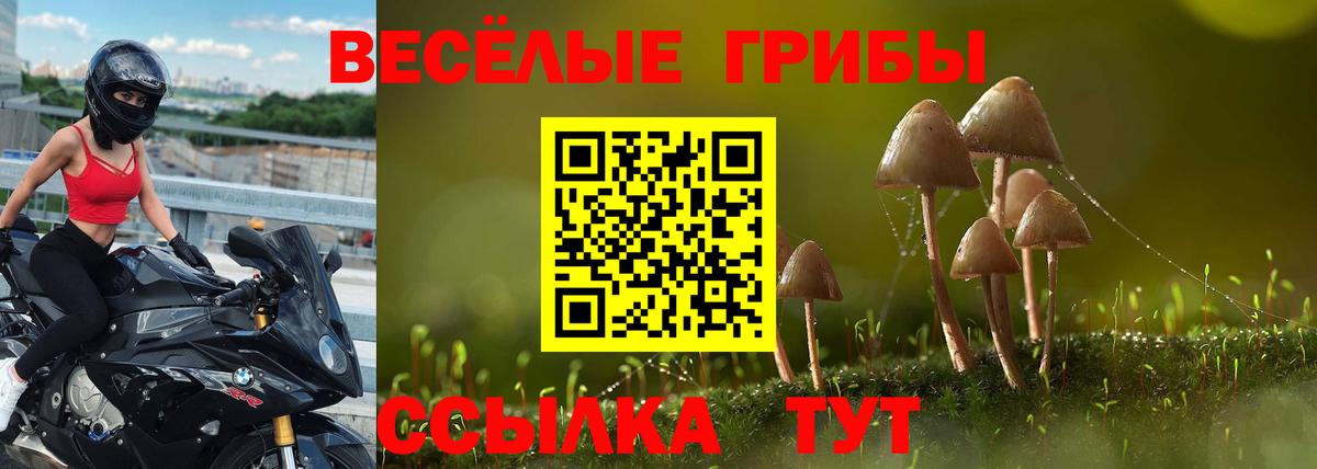 Галлюциногенные грибы Cubensis Липецк
