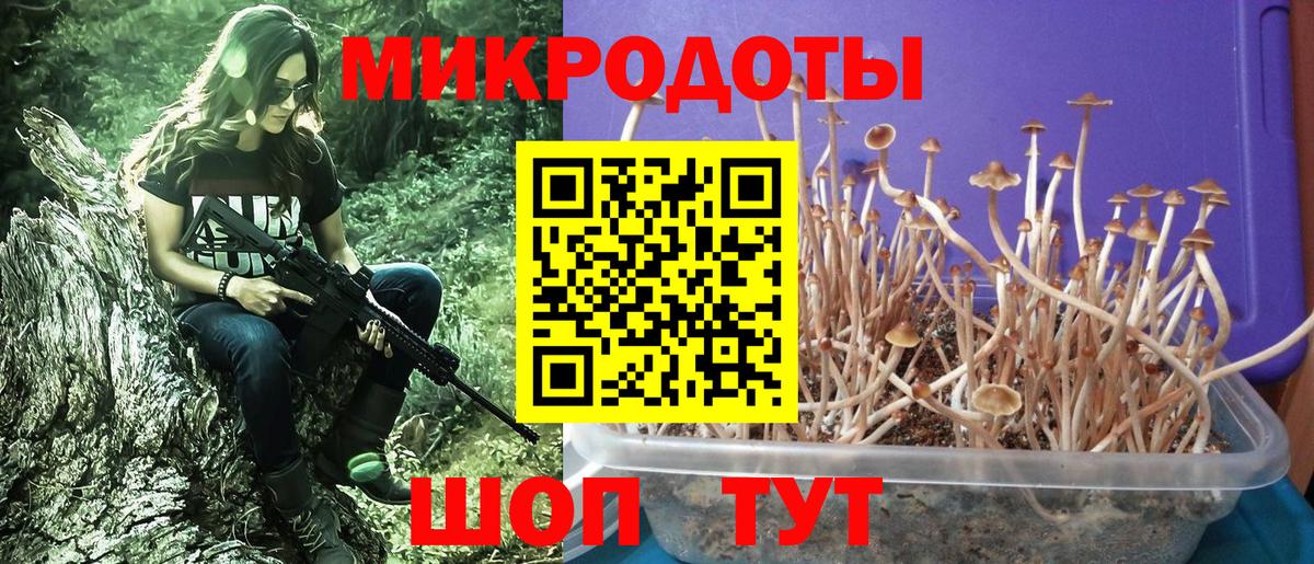 Псилоцибиновые грибы прущие грибы  Вход с VPN  Липецк 